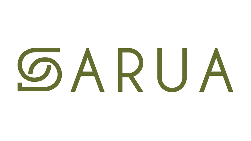 Driving Societal Impact Through Research: Key Insights from a recent SARUA webinar